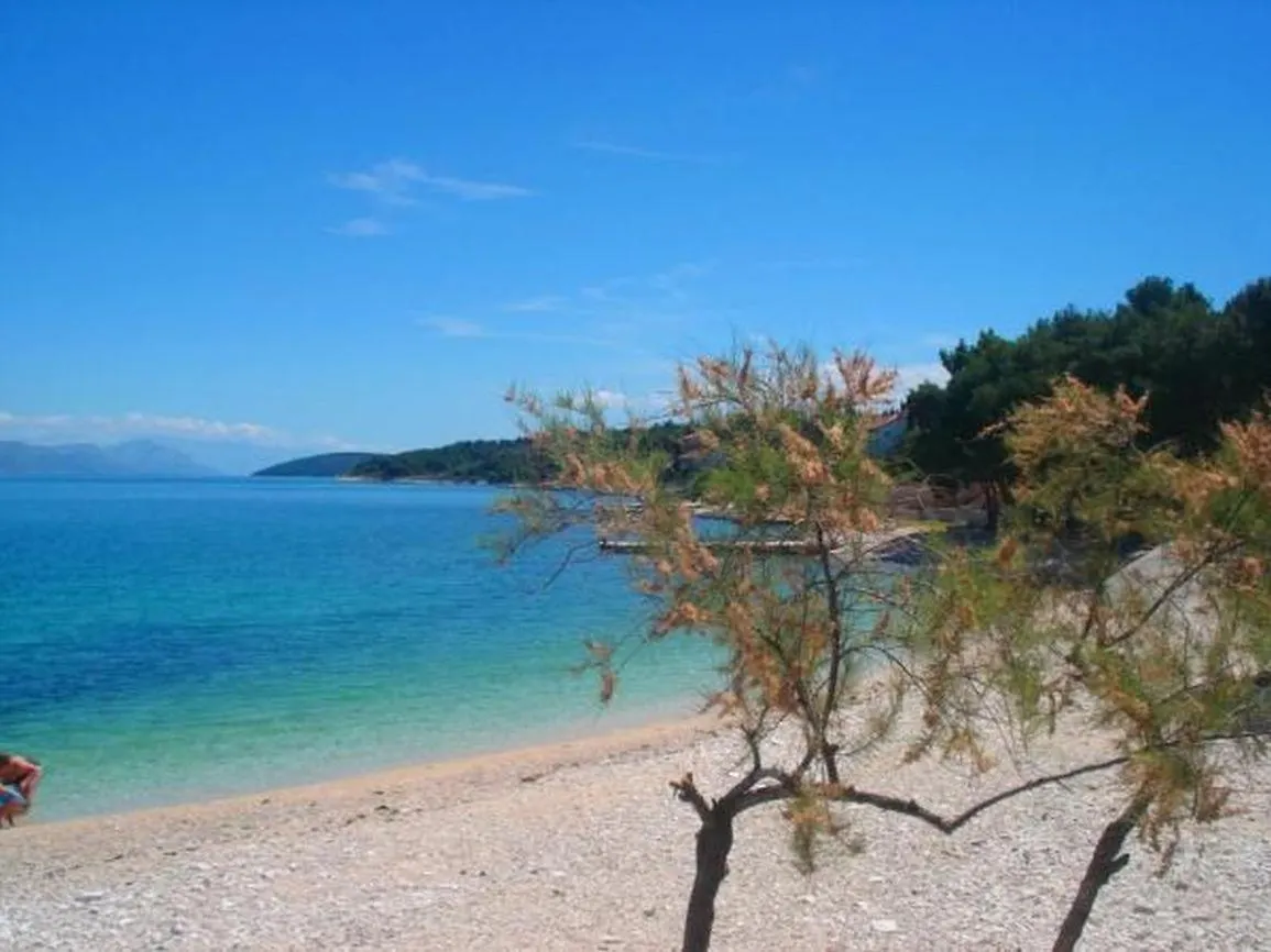 Apartment In Slatine With Sea View, Balcony, Air Conditioning, Wifi 5130-1 Croatia